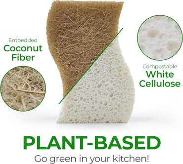 Biodegradable Natural Kitchen Sponge - Compostable Cellulose and Coconut Walnut Scrubber Sponge (12 Pack)