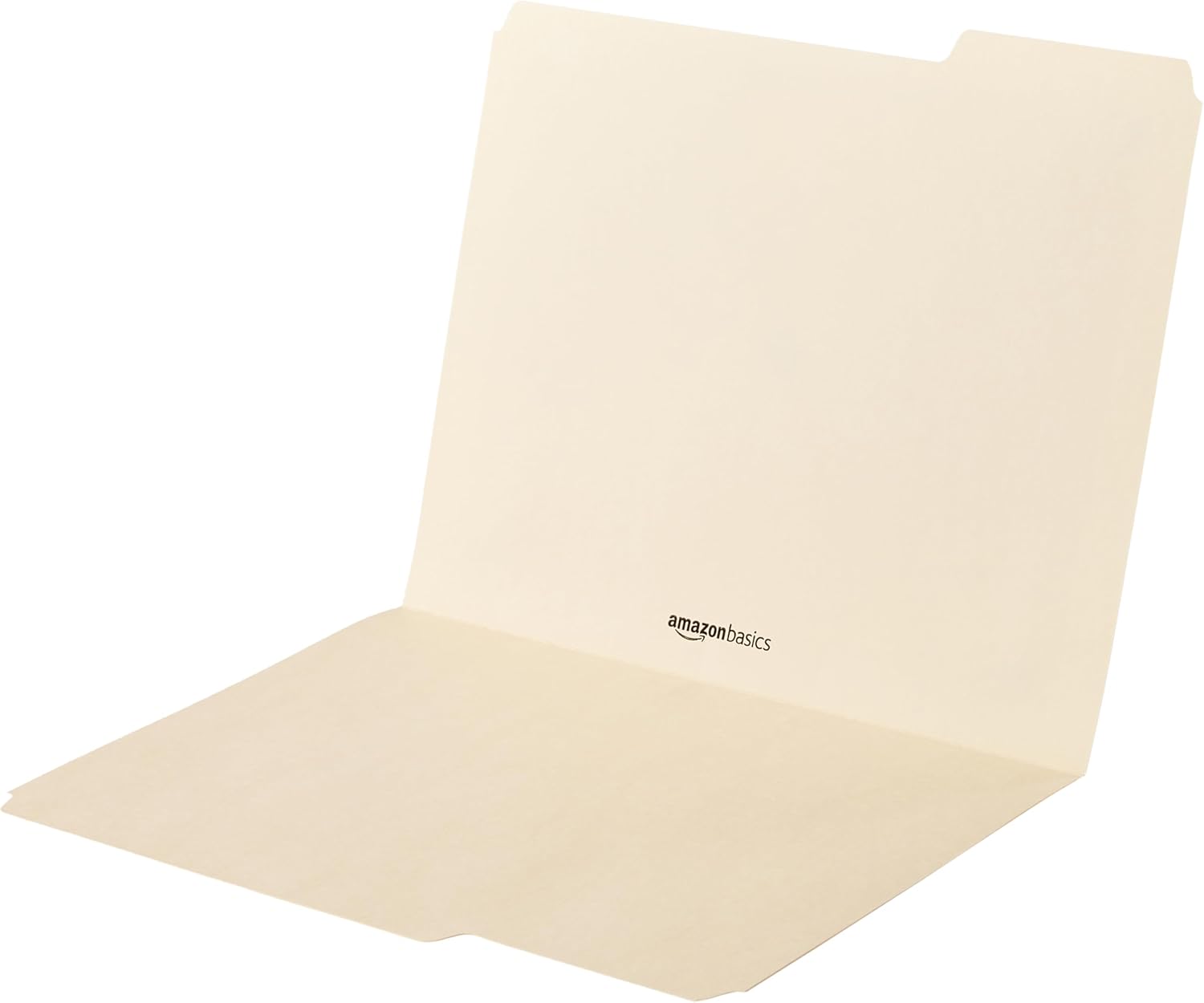 File Folders with Tabs for Filing, 1/3-Cut Tab, Assorted Positions, 8.5X11 Inches, Letter Size, Manila, Pack of 100