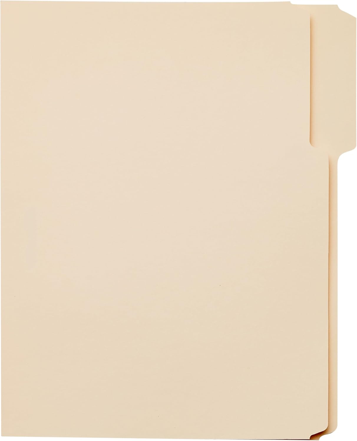 File Folders with Tabs for Filing, 1/3-Cut Tab, Assorted Positions, 8.5X11 Inches, Letter Size, Manila, Pack of 100