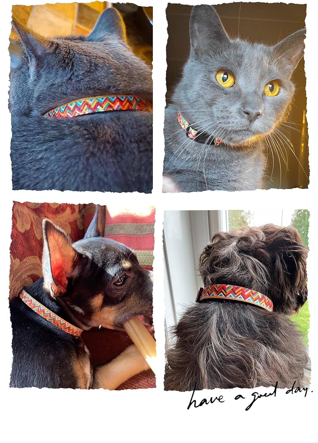 Pet Supplies, (Machu Picchu) Cat Collar, Dog Collar, Cat Leash, Dog Leash, Cat Harness, Dog Harness, Small Dog Collar, Medium Dog Collar, Large Dog Collar (Pet Collar, S)