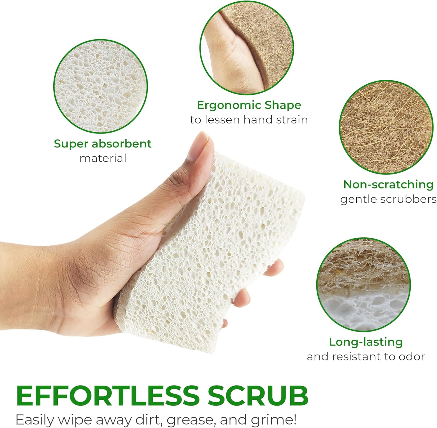 Biodegradable Natural Kitchen Sponge - Compostable Cellulose and Coconut Walnut Scrubber Sponge (12 Pack)