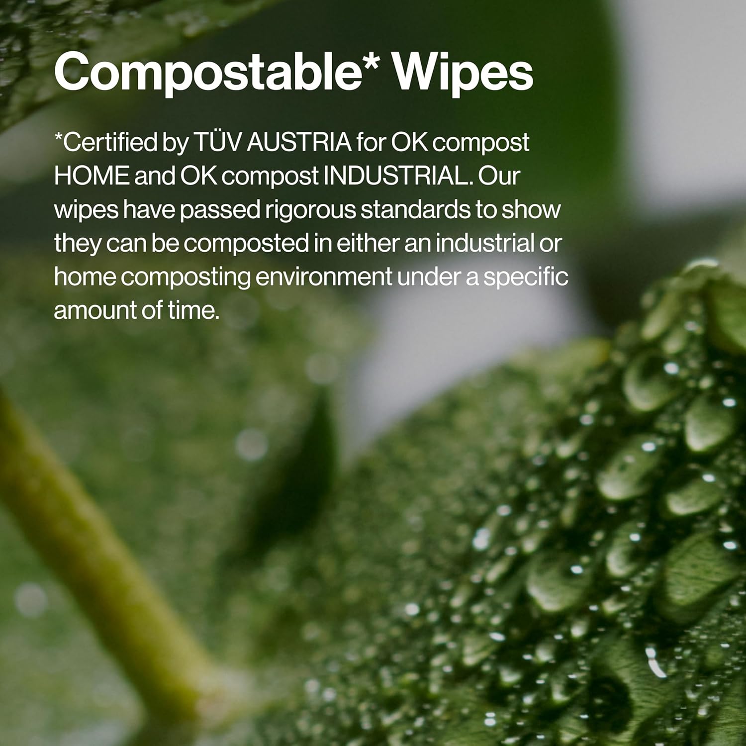 Fragrance Free Cleansing Makeup Remover Facial Wipes | Plant Based, Hypoallergenic, Gentle for Sensitive Skin | 30 Count